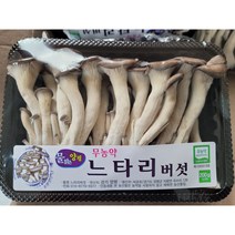 [특급] 느타리버섯 200g 3팩 5팩 10팩 참타리, 느타리버섯10팩