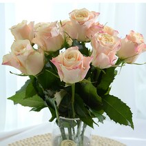 장미꽃 생화 꽃다발 생화택배 여자친구선물, 샤만트장미