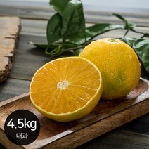 제주 황금향 고품격 감귤 신선한 달콤함 / 4.5kg 대과 가정용, 제품선택:황금향_4.5kg 대과_가정용