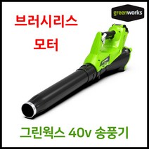 그린웍스 40v 신형엑시얼 충전 블로워 낙엽청소기 충전식 브로워 전동 송풍기 제설기 본체만