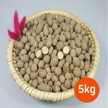 안동사랑농원 마특구 지역 안동에서 재배한 햇마 씨앗 잉여자 마씨앗, 1박스, 5kg