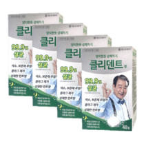 동아제약 클리덴트 정 틀니세정제, 48개입, 4개