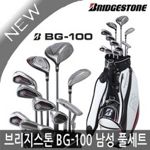 브리지스톤 BG-100 스틸 11개 풀세트(백포함) 2022년, 스틸(백포함)