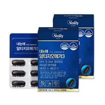 뉴일리 브레인알티지오메가3 2박스(60캡슐) 은행잎추출물 징코 노르웨이산 정제어유 알티지오메가3 밀납 대두레시틴 홍삼농축분말