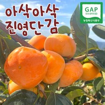 [진영단감] 아삭단감 2.5KG 5.0kg 내외 태추 부유단감, 아삭달달 진영단감 5.0kg 대과