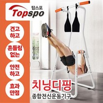 탑스포츠 멀티치닝디핑 딥프레스 평행봉 딥스, 고급형화이트