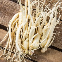 금산 인삼 350g 세척 수삼 인삼꽃주 삼계삼 난발삼 아카시아꿀 동강이 꿀절임 파삼 막삼 가정용삼 인삼차, 12_1IA0_세척한뿌리 70g내외X2개