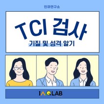 [인큐연구소] TCI 검사 전문 상담사 실시 및 해석, 1