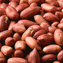 2022년 여주 땅콩 볶음 생땅콩 고소한 국산 1kg 500g 지퍼팩포장, 생땅콩 500g