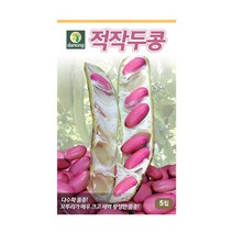 다농 적작두콩 5립