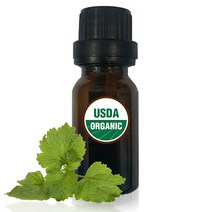 USDA 오가닉 광곽향 (패출리) 오일 10ml - 유기농 아로마 오일 100%