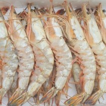 자연산 대왕 대하 11미 1kg