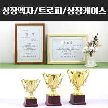 A4 미니 상장 케이스 액자 트로피 운동회 우승컵, 선택06)상장케이스