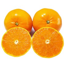 [제주의맛] 새콤달콤 천혜향 산지직송 선물용 가정용, 가정용포장, 천혜향 소과 10kg(61과 이상)