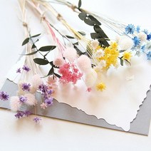 바보사랑 스타플라워와 허니테일미니다발.더봄, 블루