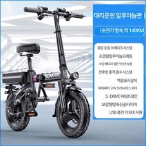 독일 최고의 접이식 전기 자전거 초경량 휴대용 전동이륜차, 알루미늄합금 35A 약140km