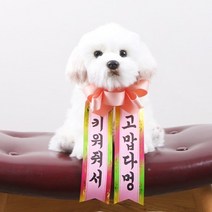 갓샵 인간화환 당일발송ver 강아지형 소형 [졸업 결혼식 생일], 상세설명 참조, 강아지형/2. 키워줘서 고맙다냥