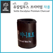 세틀 유칼립투스 프리미엄 차콜 미니포트 M 수초포트 모스 수초 심기, 1개