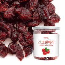 바른에프엔비 건 크랜베리, 250g, 1개