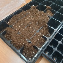 32개 식물재배기 모판 육묘 파종 미니온실 상추 화분꾸미기 수국 텃밭 화분 플라스틱 미니 모종 파는곳 새