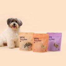 반려소반 바른식사 미니테린 300g (소 닭 오리), 소