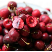 수입 칠레 생 체리 1kg 2kg 5kg, 생 체리 중과 2kg