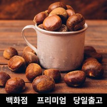 [특등급] 밤 500g 공주밤 햇밤 옥광밤 약밤 군밤만들기 약단밤 칼집약단밤 칼집밤 군밤 밤도매 공주알밤 공주옥광밤 공주정안밤 정안밤 생밤 밤나무 생율밤 밤구매 맛밤 생율충주밤