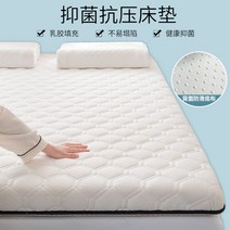 효리네 민박 원룸 자취 바닥 매트릭스 접이식 접히는 1인 손님 접대 두꺼운 침대 매트리스