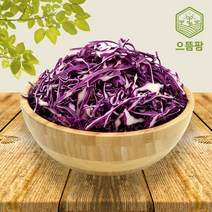 으뜸팜 적양배추 샐러드 1.2kg, 1개