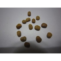 옻나무씨앗50g(1500립)