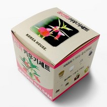 집에서 키우기 쉬운 식물 기르기 봉선화