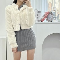 카라 크롭 페이크퍼 자켓