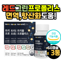 면역력 프로폴리스 플로폴리스 섭취방법 먹는방법 레드프로폴리스 그린프로폴리스 면역력 면역 항산화 구강 항균 프로폴리스 도움 영양제 PROPOLIS