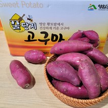 영암명품 소담농원 꿀단지 황금꿀고구마 3 5 10kg 베니하루까, 꿀단지황금꿀고구마10kg 한입통통