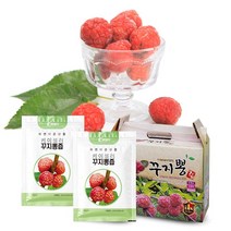 무농약 자연재배 케이셀러 꾸지뽕즙 꾸찌뽕원액 부모님선물 명절선물 60포입, 단품, 단품