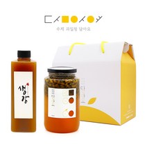담아요 2종 선물세트 추석 한가위 설 명절 어버일날 스승의날 답례품 생일 선물, 06.생강청 500ml(플)+레몬청 650g