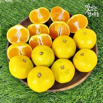 제주 서귀포 하우스귤 감귤 제주도 귤 밀감 3 5 10kg, 1박스, 3kg 프리미엄과(S)