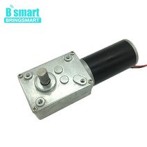 Bringmart-70kg.cm 토크 DC 웜 기어드 모터 12V 24V 미니 기어 박스 DIY 커튼 기계용 자동 잠금 엔진 반전, 08 12V 470rpm_05 Package five