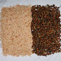 국내산 보리새우 건홍합 건어물 바다보물 영양만점 깊고 진한 마른반찬, 보리새우 1kg