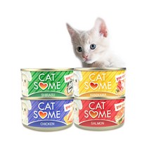 CATSOME 붐캣 고양이캔 80G 24개입(1BOX), 참치+치어
