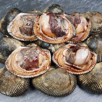서해안 산지직송 서천 피꼬막 왕꼬막 대왕피조개 피조개 1kg 2kg, 푸띠 서천 피조개 2kg, 1개
