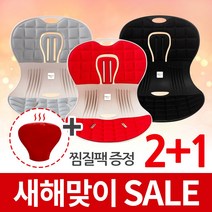 트러블체어 + 냉온찜질팩 자세교정 좌식의자 허리건강 등받이 의자 행사, 레드3개