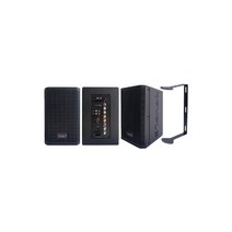 6.5인치 액티브 스피커 카날스 ATR-610 100W 버스킹 USB 재생 가능