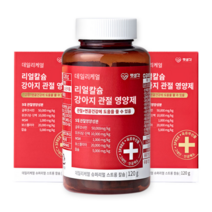 강아지 관절 연골 뼈 칼슘 슬개골 면역력 항염증 보스웰리아 MSM 영양제 슬개골 탈구 1통(2개월분) 연골영양제 펫생각 관절케어영양제, 1통 2개월