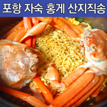 [자숙홍게] 감동농수산물 강원도 홍게 홍개 후포 홍게 제철 후포항홍게 연지 홍게 파지 동해홍게살 활홍게 파지 홍게 당일배송 육수용홍게 속초 라면용 홍게 영덕 자숙 포항 구룡포 택배, 자숙 고급형 혼합홍게 (소/중)10마리