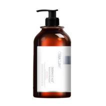 세라클리닉 더마이드 4.0 보태니컬 샴푸 와일드 로즈향, 5개, 1000ml