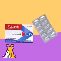 리버마린 200mg 30정 강아지 고양이 간영양제
