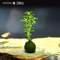 헬로아쿠아 모음)심쿵 수초아이템 160종 쉬운수초 어항장식 열대어 어항꾸미기 수족관꾸미기, 98번) 마리모 수초 펄그라스