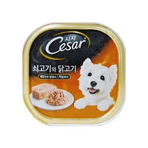 시저 반려견 주식캔, 소+닭, 100g, 6개