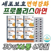세포 손상 보호 항산화 고농축 프로 폴라 폴리스 캡슐 아구창 편도 입속 입안 구강 목 건강 에좋은 영양제 면역 증가 증강 강화 보호 개선 도움 40대 50대 60대 70대 여성